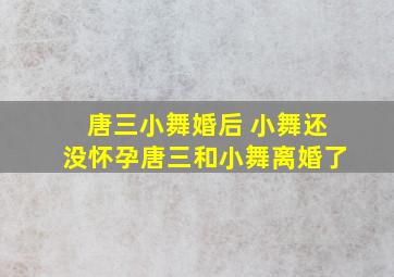 唐三小舞婚后 小舞还没怀孕唐三和小舞离婚了